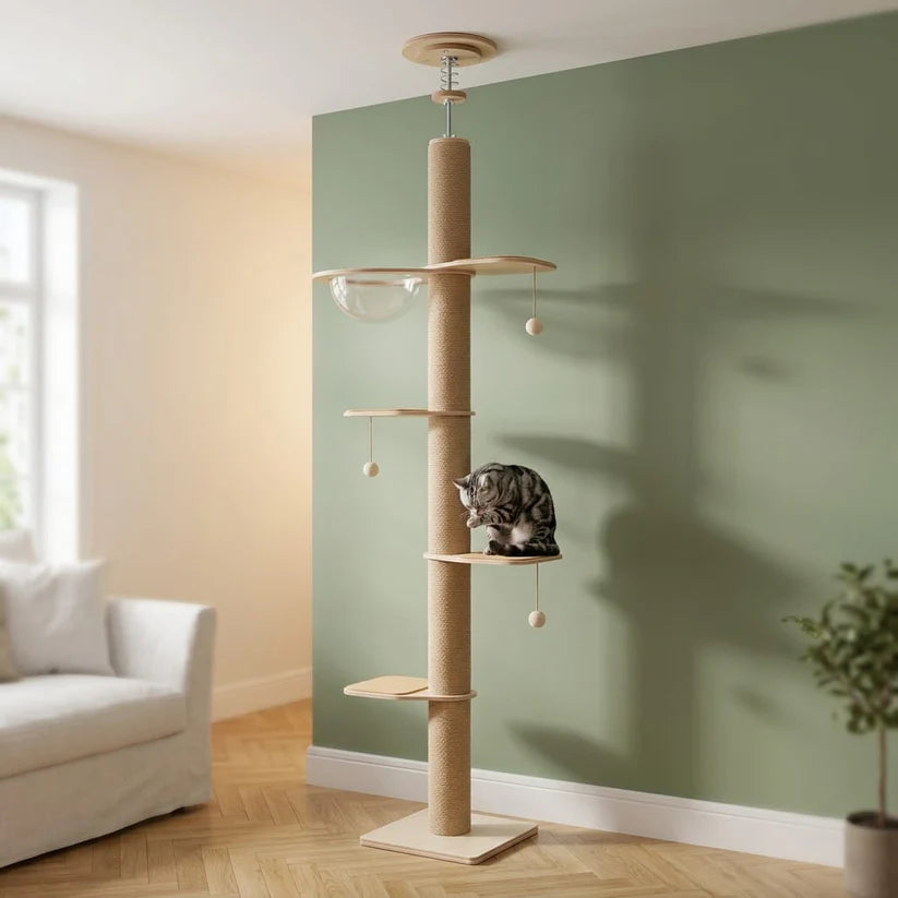 Arbre à chat du sol au plafond | Iwau