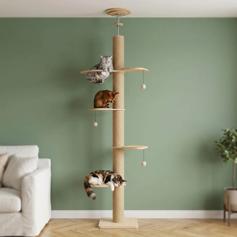 Arbre à chat du sol au plafond | Iwau