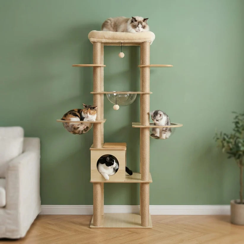 Arbre à chat en bois | Moris