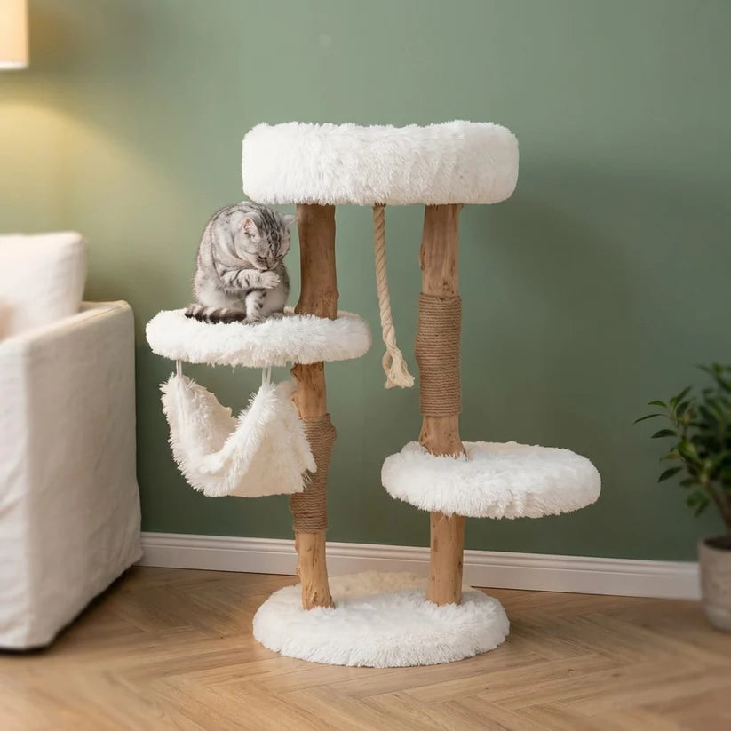 Arbre à chat en bois flottant | Kaseno