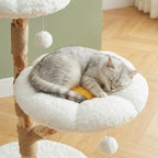 Arbre à chat en bois flotté | Mahou
