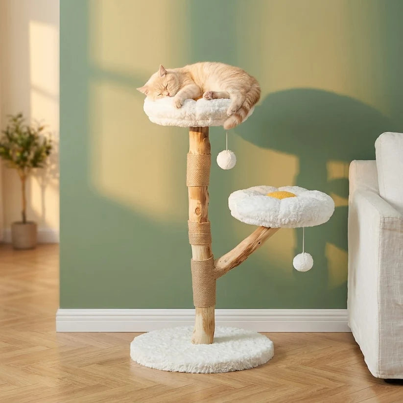 Arbre à chat en bois flotté | Mahou