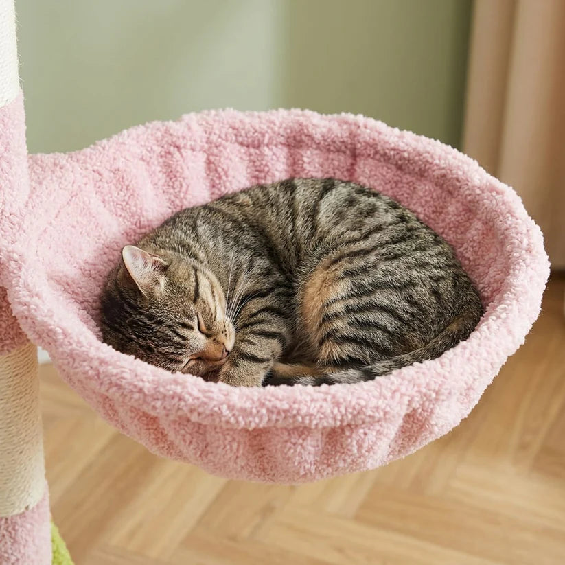 Arbre à chat gros gabarit xxl | Yamao