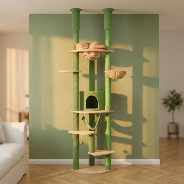 Arbre à chat plancher au plafond | Ishia