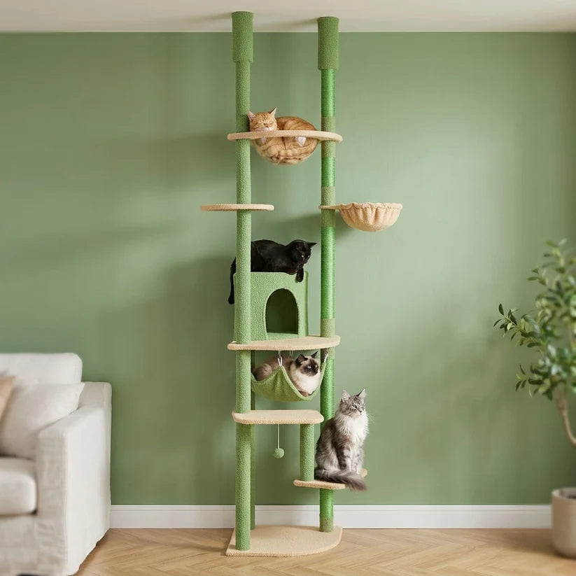 Arbre à chat fixation plafond | Takao