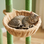 Arbre à chat plancher au plafond | Ishia