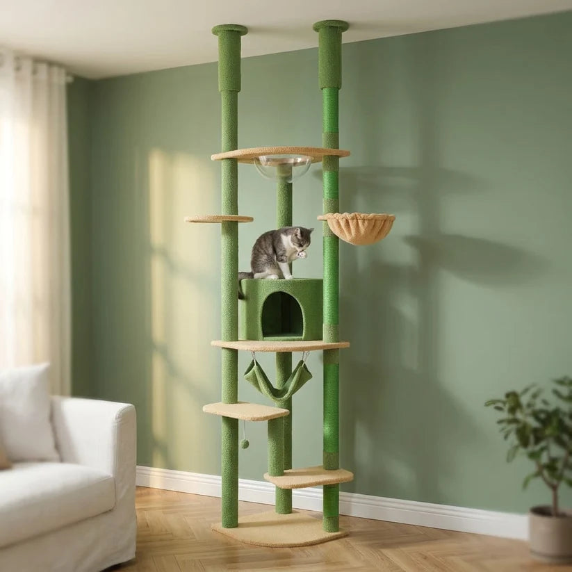 Arbre à chat fixation plafond | Takao