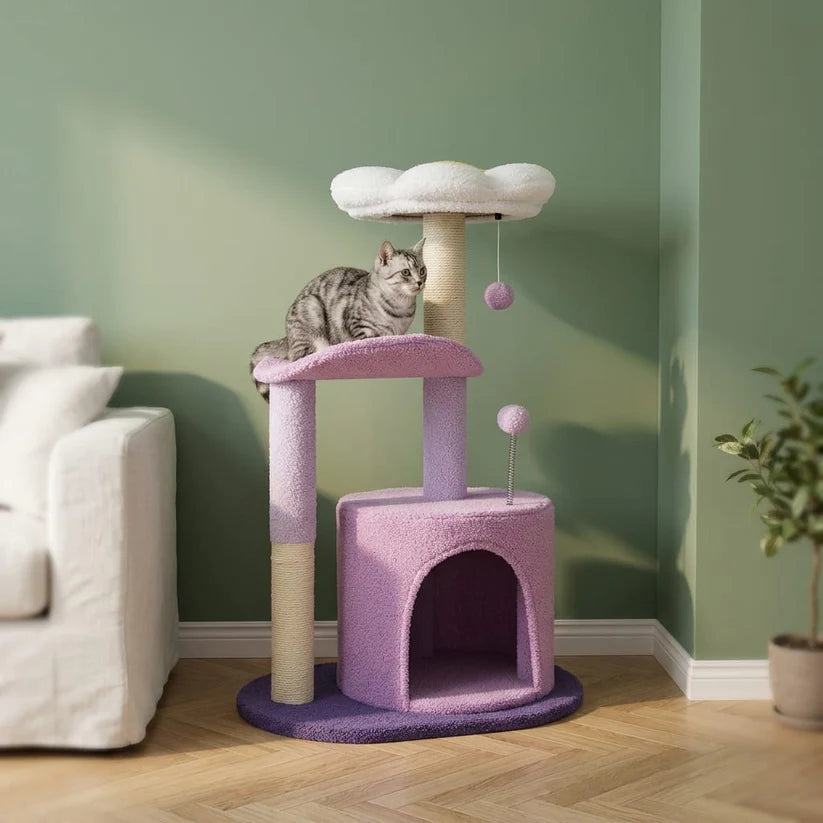 Arbre à chat à fleur | Shune