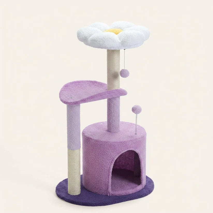 Arbre à chat à fleur | Shune