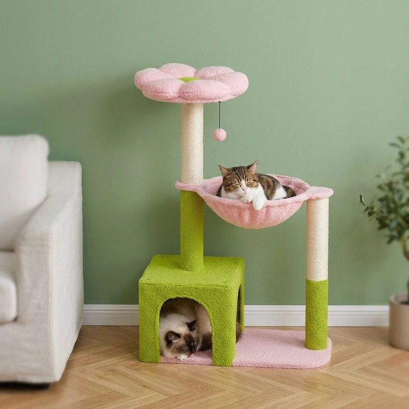 Arbre à chat fleur rose | Sorai