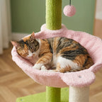 Arbre à chat fleur rose | Sorai