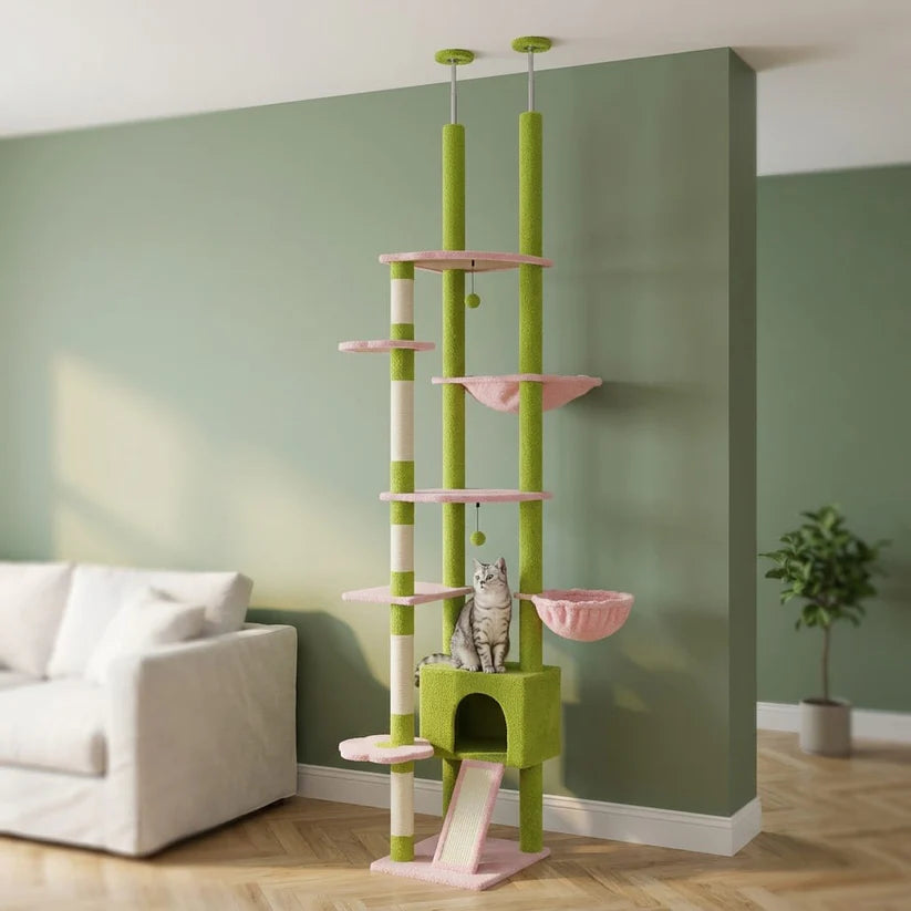 Arbre à chat fleuri | Sunau