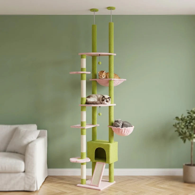 Arbre à chat fleuri | Sunau