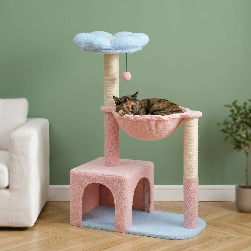 Arbre à chat fleur rose | Sorai
