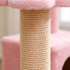 Arbre à chat fleur rose | Sorai