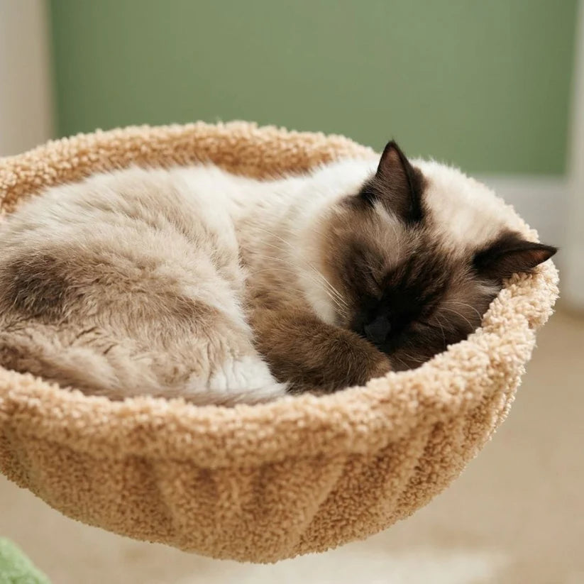 Arbre à chat forme cactus | Togeo