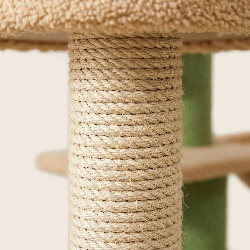 Arbre à chat forme cactus | Togeo