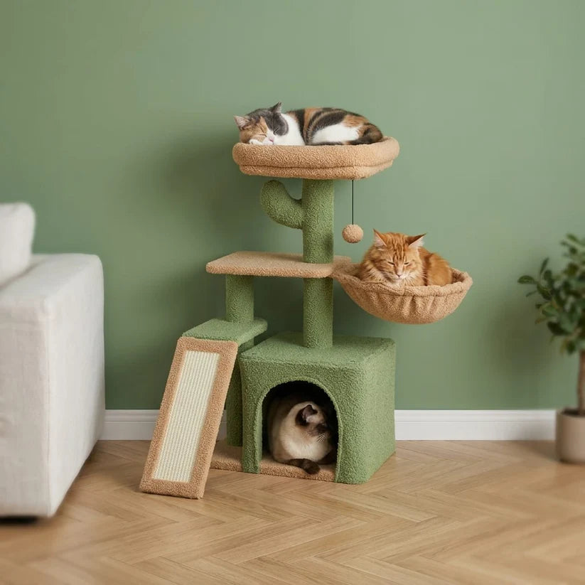 Arbre à chat forme cactus | Togeo