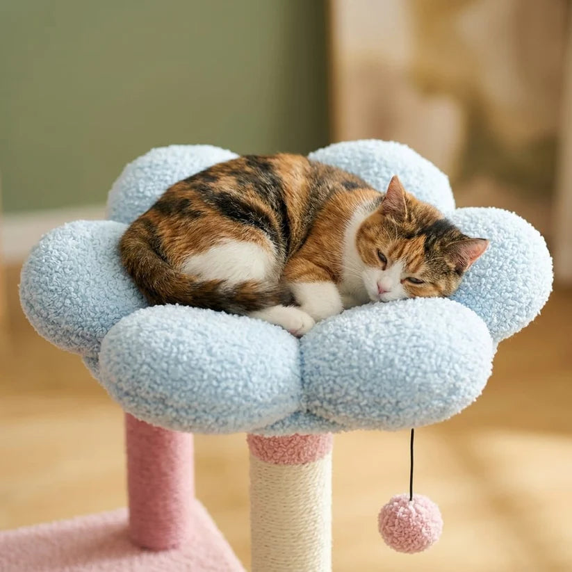 Arbre à chat forme fleur | Oukoua