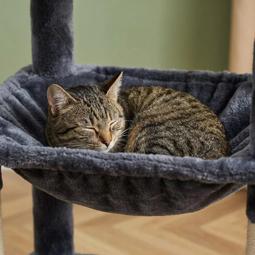 Arbre à chat grand chat xxl | Koen