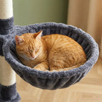 Arbre à chat gros gabarit xxl | Yamao