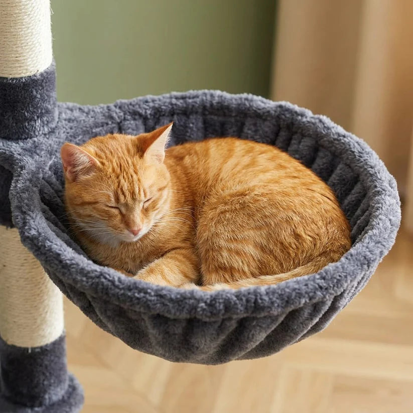 Arbre à chat gros gabarit xxl | Yamao
