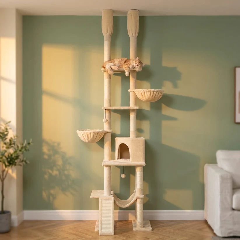 Arbre à chat hauteur plafond | Kumou