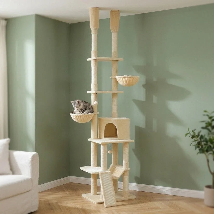 Arbre à chat hauteur plafond | Kumou