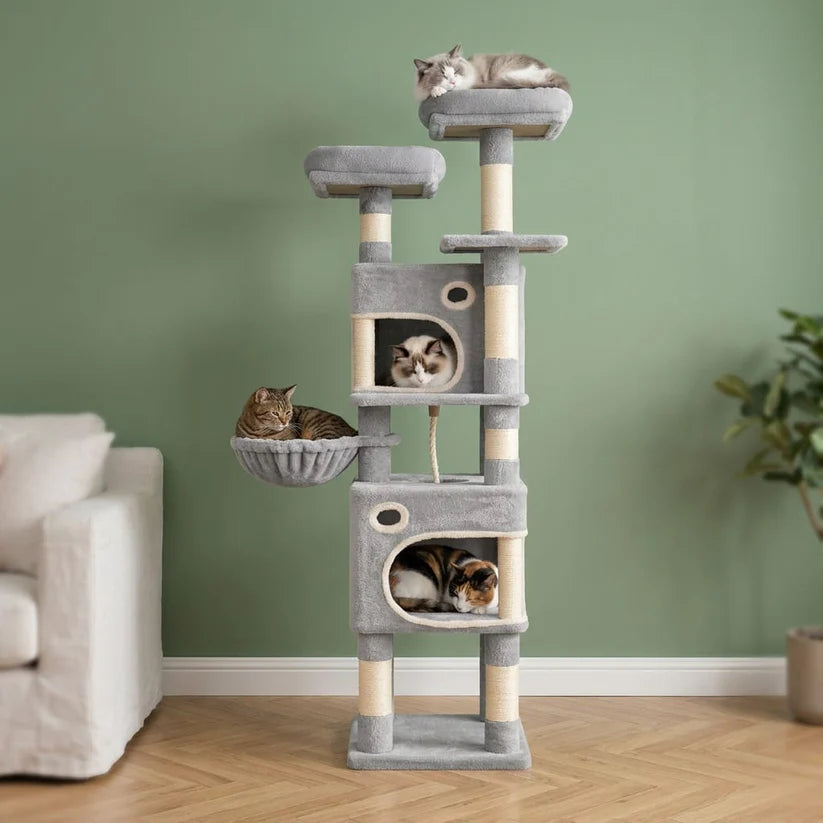 Arbre à chat maine coon beige | Shirou