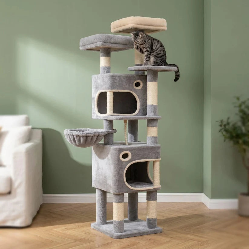 Arbre à chat maine coon beige | Shirou
