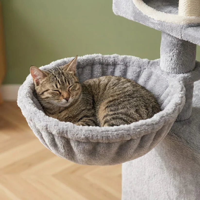 Arbre à chat maine coon beige | Shirou