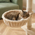 Arbre à chat maine coon appartement |Fumia