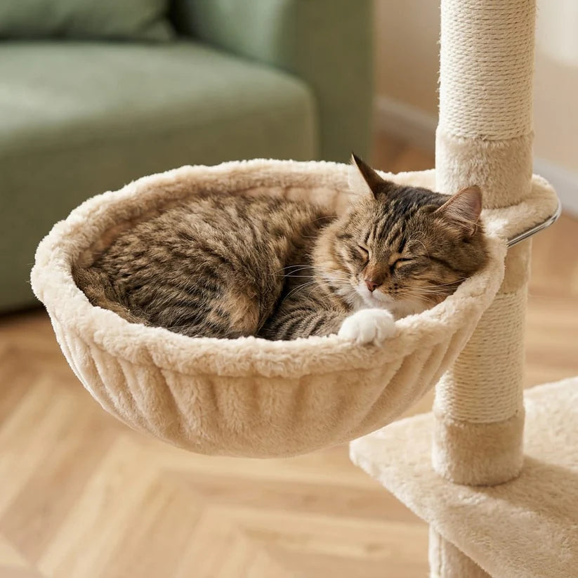 Arbre à chat maine coon appartement |Fumia