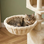 Arbre à chat maine coon beige | Shirou