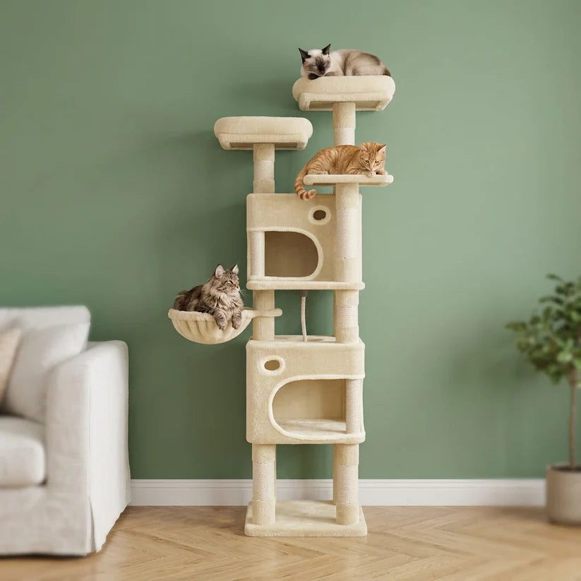 Arbre à chat maine coon beige | Shirou