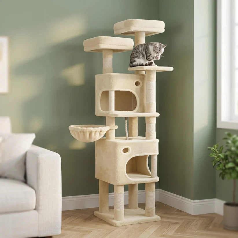 Arbre à chat maine coon beige | Shirou