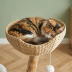 Arbre à chat maine coon bois flotté | Nagareo