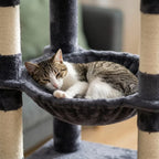 Arbre à chat forme fleur | Oukoua