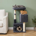 Arbre à chat maison petit espace | Ieon