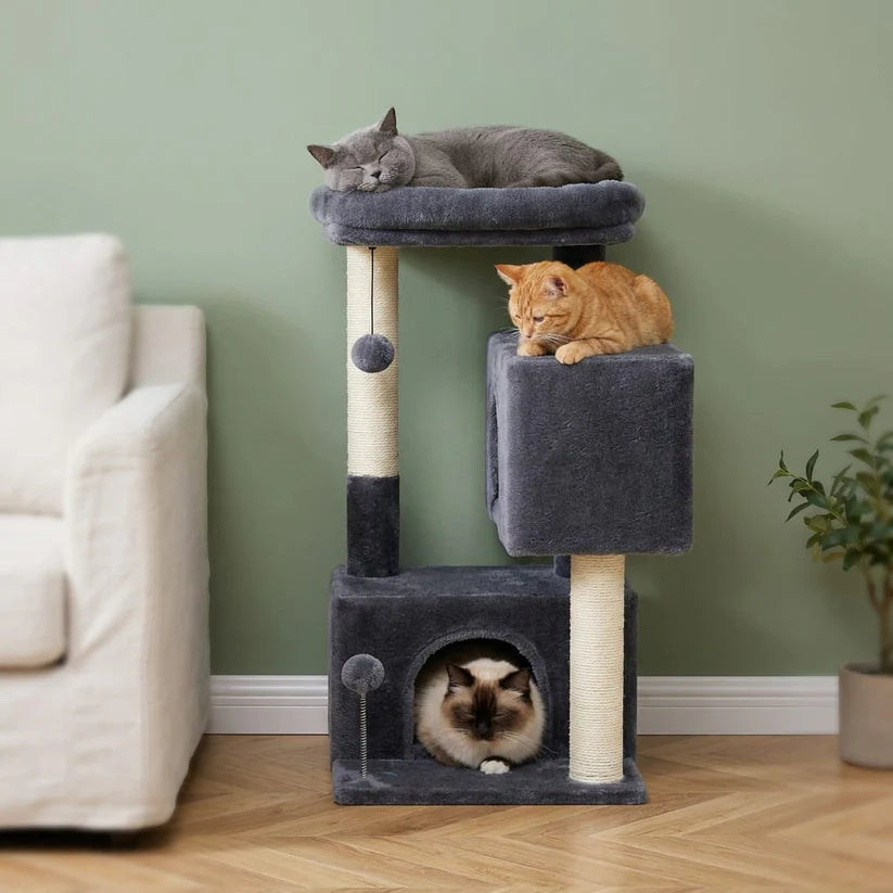 Arbre à chat maison petit espace | Ieon