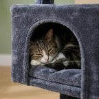 Arbre à chat maison petit espace | Ieon