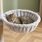 Arbre à chat caisse en bois | Amio