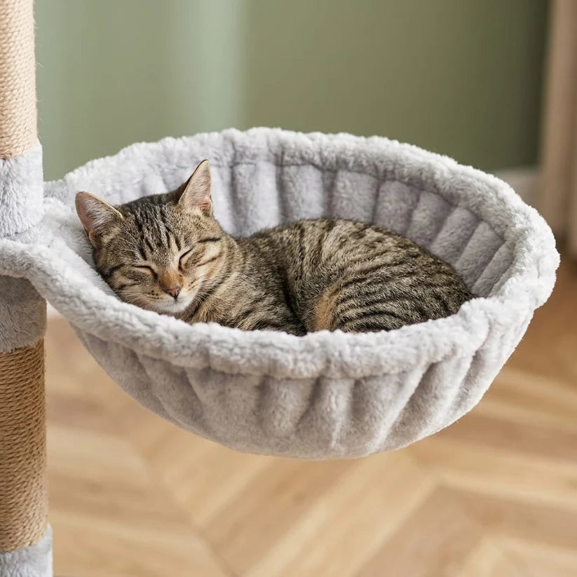 Arbre à chat moderne en bois | Sabia