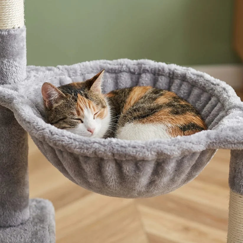 Arbre à chat petit modèle | Marou