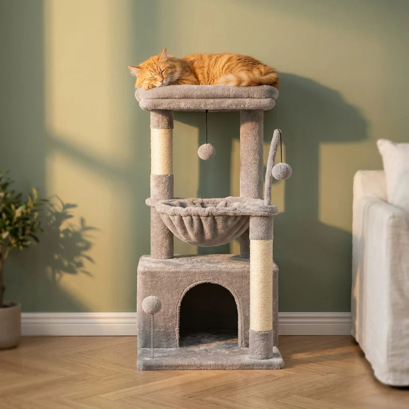 Arbre à chat petit modèle | Marou