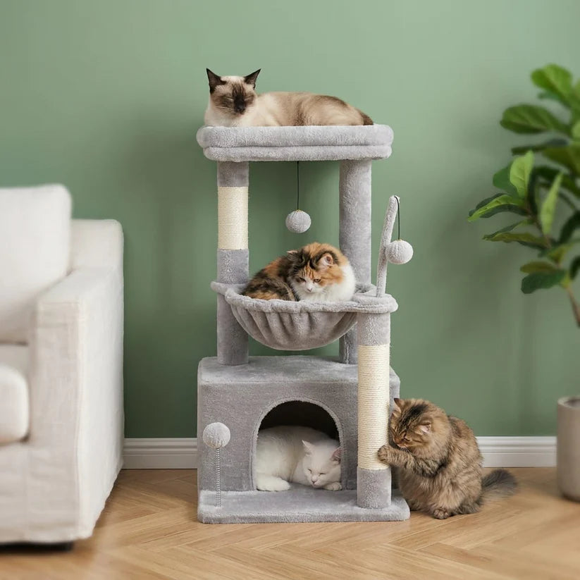 Arbre à chat petit modèle | Marou