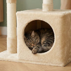 Arbre à chat petit encombrement | Higeo