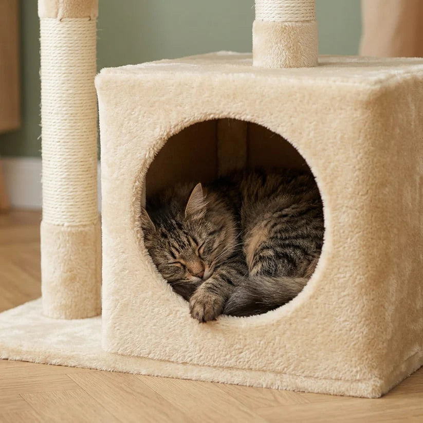 Arbre à chat petit encombrement | Higeo