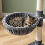 Arbre à chat petit espace | Kadou