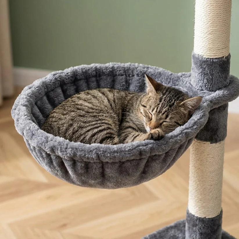 Arbre à chat petit espace | Kadou